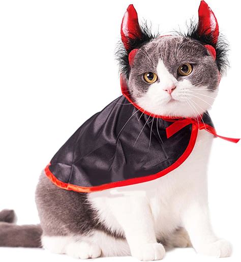 Whimsical Magic Cat Costumes for a Magical Photo Shoot